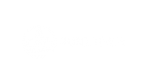 P_Blink Tower._Logo