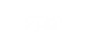 P_Flick._Logo